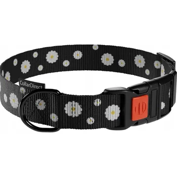 Obojek pro psa Obojek pro psa CollarDirect, vel. XL