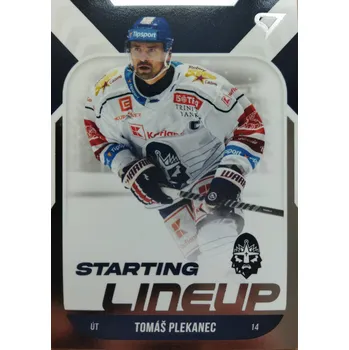 Karetní hra Tomáš Plekanec