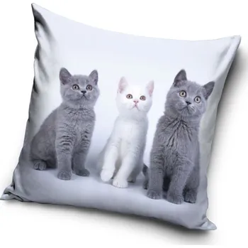Polštář Dekorační polštářek Kočičí Trio