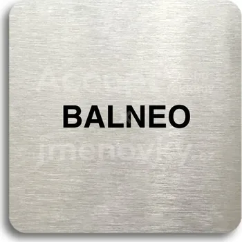 Informační tabulka Stříbrný piktogram "balneo" s černým textem bez rámečku - 80 x 80 mm