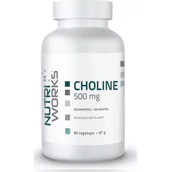 Přípravek na podporu paměti a spánku Nutri Works Choline 500 mg 90 cps.