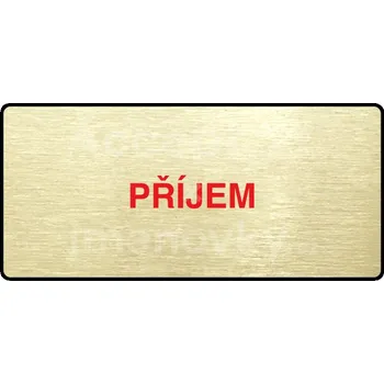 Informační tabulka Zlatý piktogram "PŘÍJEM" s červeným textem a rámečkem -