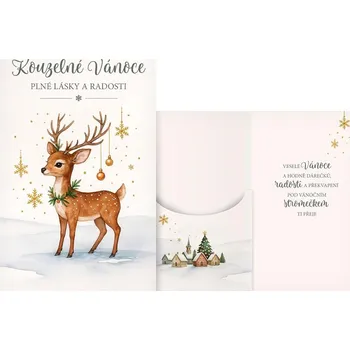 UNIPAP přání vánoční s klopou na peníze V24-501 H PRANI_H_673 587391