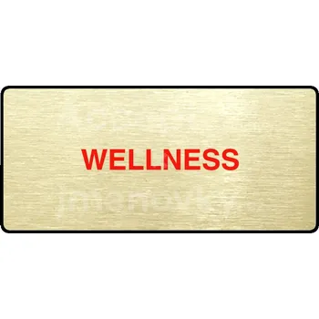 Informační tabulka Zlatý piktogram "WELLNESS" s červeným textem a rámečkem -