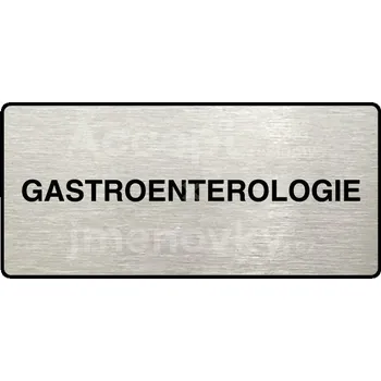 Informační tabulka Stříbrný piktogram "GASTROENTEROLOGIE" s černým&nbsp;textem a rámečkem&nbsp;-