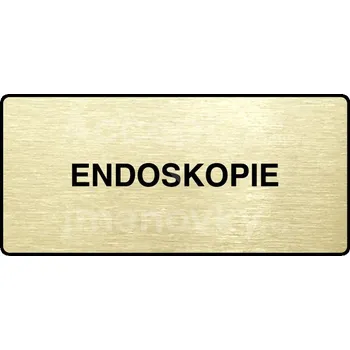 Informační tabulka Zlatý piktogram "ENDOSKOPIE" s černým&nbsp;textem a rámečkem&nbsp;-