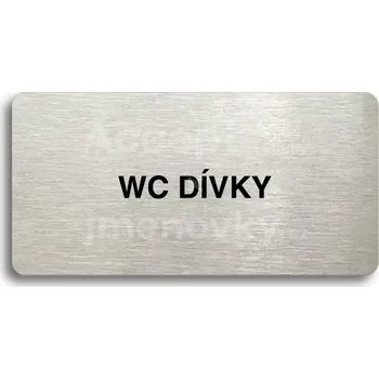 Značení Stříbrný piktogram "WC DÍVKY" s černým&nbsp;textem bez rámečku -