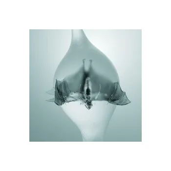 Zahraniční hudba Angel - Unprocessed [CD]