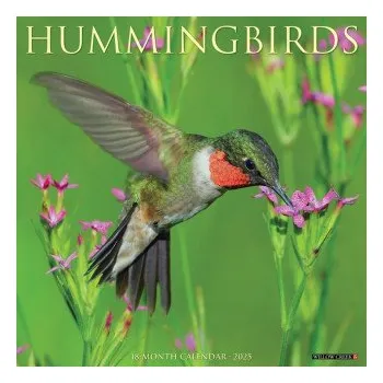 Kalendář Hummingbirds 2026 12 X 12 Wall Calendar (Brožovaná)
