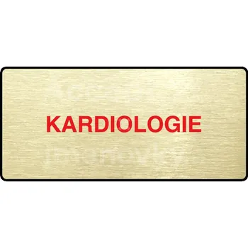 Informační tabulka Zlatý&nbsp;piktogram "KARDIOLOGIE" s červeným textem a rámečkem&nbsp;-