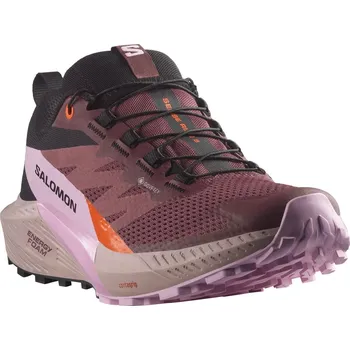 Dámská běžecká obuv Salomon Sense Ride 5 GTX W L47592300 - catawba/grape/orchid bouquet 42 2/3