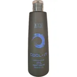 BES Cool It tónovací šampon 300 ml – Neutralizace žlutých tónů pro blond, šedé a bílé vlasy