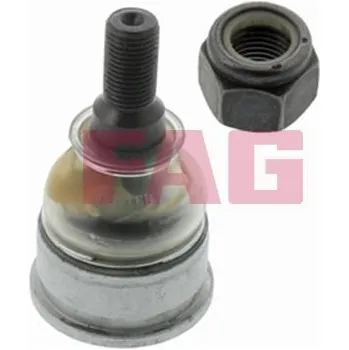 Čepy Schaeffler FAG 825 0308 10