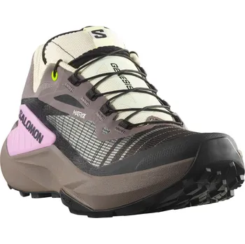 Dámská běžecká obuv Salomon Genesis W L47881000 - iron/vanilla/ice cyclamen 42