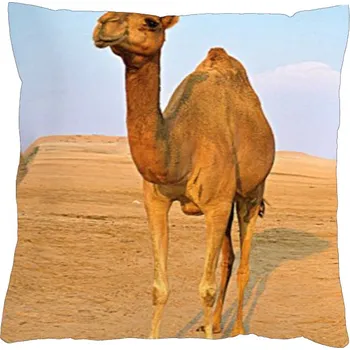 Povlak na dekorativní polštářek Povlak na polštář 40x40 na zip velur - Velbloud