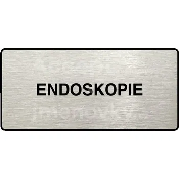 Značení Stříbrný piktogram "ENDOSKOPIE" s černým textem a rámečkem -