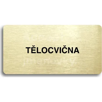 Značení Zlatý piktogram "TĚLOCVIČNA" s černým textem bez rámečku -