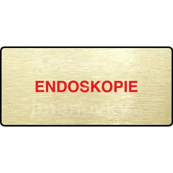 Značení Zlatý&nbsp;piktogram "ENDOSKOPIE" s červeným textem a rámečkem&nbsp;-