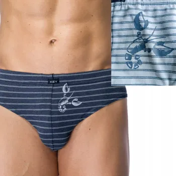 Pánské spodní prádlo KEY pánské slipy MPP 362 2-pack proužky námořnická modrá/modrá L