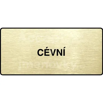 Značení Zlatý piktogram "CÉVNÍ" s černým&nbsp;textem a rámečkem&nbsp;-
