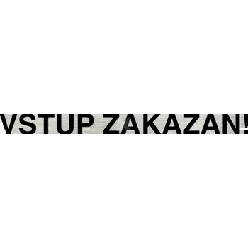 Informační tabulka Stříbrný piktogram "VSTUP ZAKÁZÁN" s černým&nbsp;textem bez rámečku -