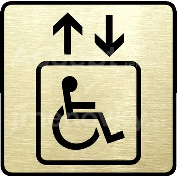 Informační tabulka Zlatý piktogram "výtah invalidé" s černým textem a rámečkem -