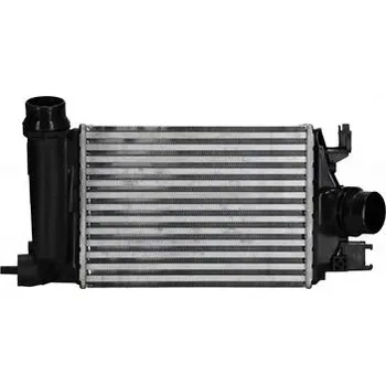 Chladič motoru NISSENS 961359 Chladič turba (961359)