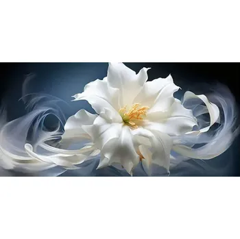 Diamantové malování Diamantové malování - Bílý květ + třpytivé kamínky (100x50)