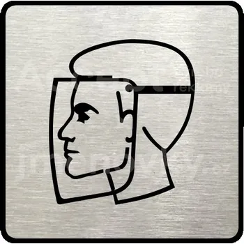 Informační tabulka Stříbrný piktogram "ochranný štít II" s černým&nbsp;textem a rámečkem&nbsp;-