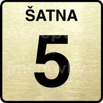 Informační tabulka Zlatý piktogram "šatna 5" s černým&nbsp;textem a rámečkem&nbsp;-