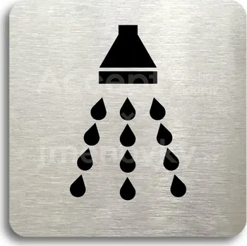 Informační tabulka Stříbrný piktogram "sprcha" s černým textem bez rámečku - 80 x 80 mm