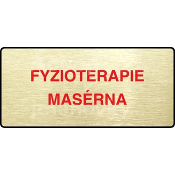 Značení Zlatý&nbsp;piktogram "FYZIOTERAPIE - MASÉRNA" s červeným textem a rámečkem&nbsp;-