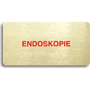 Informační tabulka Zlatý&nbsp;piktogram "ENDOSKOPIE" s červeným textem bez rámečku&nbsp;-