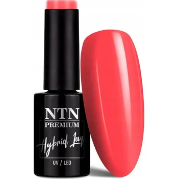 Přípravek na nehty Hybridní lak na nehty NTN 5g Dessert Collection Růžový Pink Č.91