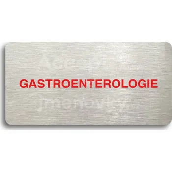Značení Stříbrný&nbsp;piktogram "GASTROENTEROLOGIE" s červeným textem bez rámečku&nbsp;-