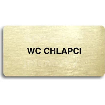 Informační tabulka Zlatý piktogram "WC CHLAPCI" s černým&nbsp;textem bez rámečku&nbsp;-