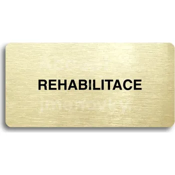 Značení Zlatý piktogram "REHABILITACE" s černým&nbsp;textem bez rámečku&nbsp;-