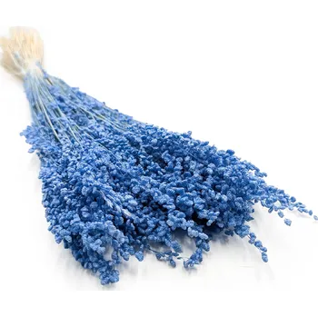 mech-mech.cz Sušená Třeslice (Briza minima) Malá - Modrá