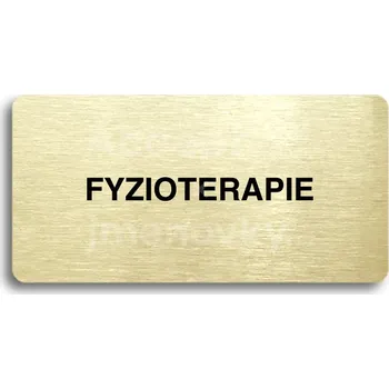 Informační tabulka Zlatý piktogram "FYZIOTERAPIE" s černým&nbsp;textem bez rámečku&nbsp;-