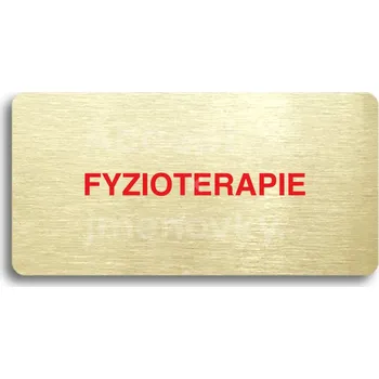 Značení Zlatý piktogram "FYZIOTERAPIE" s červeným textem bez rámečku -