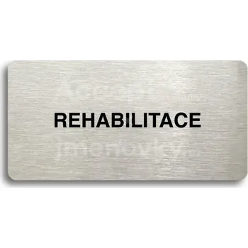 Informační tabulka Stříbrný piktogram "REHABILITACE" s černým textem bez rámečku -