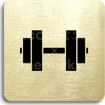 Informační tabulka Zlatý piktogram "fitness V" s černým&nbsp;textem bez rámečku&nbsp;-