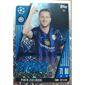 Sběratelská karetní hra Piotr Zielinski