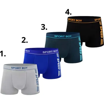 Chlapecké spodní prádlo Chlapecké trenkoslipy Fannifen U1148