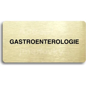 Informační tabulka Zlatý piktogram "GASTROENTEROLOGIE" s černým&nbsp;textem bez rámečku&nbsp;-