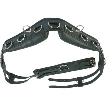 BUSSE Obřišník lonžovací Professional BUSSE, černý FULL