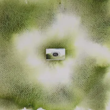 Vodová barva Akvarelová barva Roman Szmal AQUARIUS - Forest Green