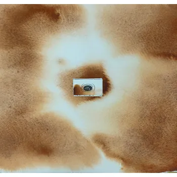 Vodová barva Akvarelová barva Roman Szmal AQUARIUS - Burnt Sienna Brownish