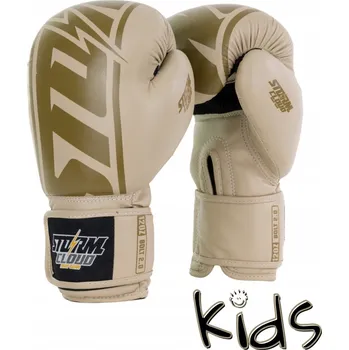 Boxerské rukavice Boxerské rukavice Storm Cloud z pravé kůže 6 oz