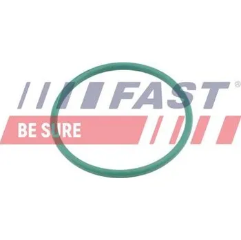 Příslušenství pro turbodmychadlo FAST FT49921 Těsnicí kroužek, hadice plnicího vzduchu (FT49921)